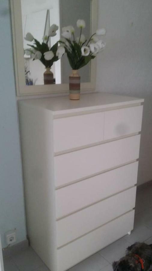 L'Estartit, Estudio En Primera Linea De Mar. מראה חיצוני תמונה